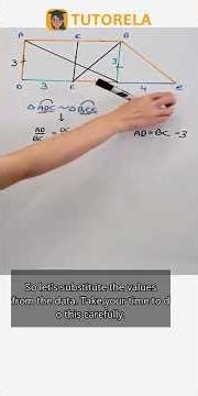 Calculate Rectangle ABCD's Perimeter with Similar Triangles #Math #Rectangles