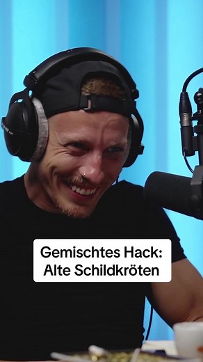 Alte Schildkröten: Wissenswertes über Haustiere