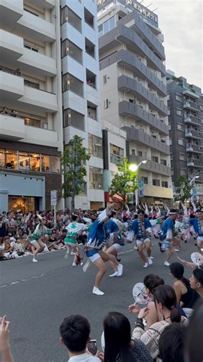 Aoi Shinren (葵新連), a grand performance by an Awa odori dance troupe. 🇯🇵 b#beauty #festival #awaodori #awadance #bondance #tokyo #groupdance #awadancefestival #japanesefestival #traditionaldance #dance #tokushima #japan #beautifuljapan | Routine of Japan