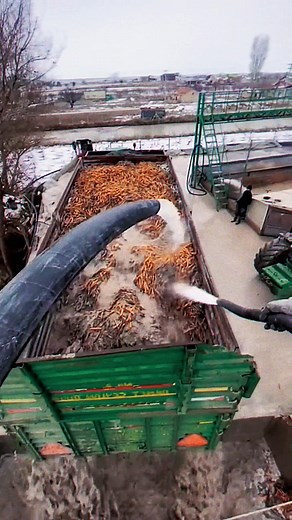 Efficient Food Transfer Process in Outdoor Settings