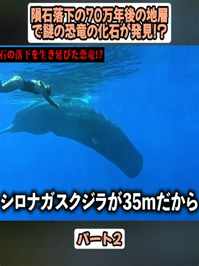 謎の恐竜化石発見の真相 - パート2