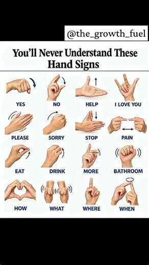 15 Useful Hand Signs and Their Meanings 🤟 | Learn Basic Sign Language #ytshorts #english