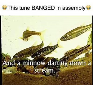 56K views · 438 reactions | Primary School Problems on Reels | Facebook