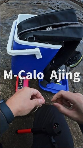 簡単 Mキャロ アジング #アジング #mキャロ