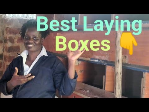 How to make simple and proper laying boxes from Home