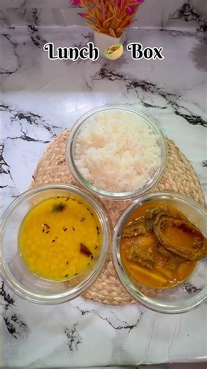 office Lunch box 💫 #lunch#lunchbox#tiffinbox