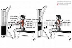 Straight-back seated underhand cable row exercise instructions and video