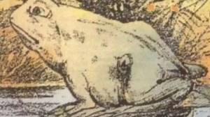 Everyone can see the frog but you have high IQ if you can spot horse in 12 secs