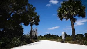 14 reactions · 4 comments | International Day for Biological Diversity is May 22! Take a self-guided drive through #MerrittIslandWildlifeRefuge and Black Point Wildlife Drive, in Titusville, FL. See birds, alligators and wildlife. #floridaroadtrip #AAAEditor Thuyvi https://bit.ly/3bIda0g | AAA | Facebook
