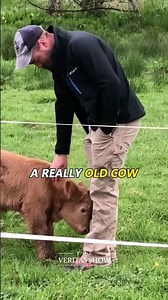 The Sky Angel Cowboy: A Lesson From God