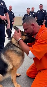 Death Row Inmate Whispered One Final Wish: "Pls... Let Me See My German Shepherd One Last Time." — But Officers Spotted a Familiar Scar On The Paw... Execution Order Was CANCELED Immediately... Chapter 1: The Dead Man’s Best Friend The air in the Huntsville Unit didn’t smell like justice. It smelled of industrial cleaner, damp concrete, and the metallic tang of fear. Jackson “Jax” Miller sat on the edge of the cot, his head in his hands. The fabric of his orange jumpsuit was rough against his sk