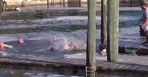 Crew cleans formerly toxic water in Rio, hops in