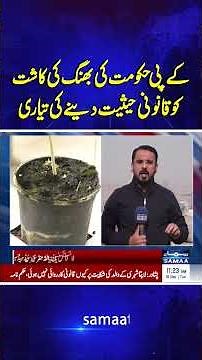 KP Government Prepares to Legalize Cannabis Cultivation | Samaa TV