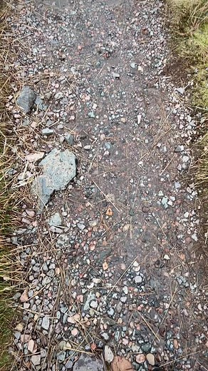 Had a lovely walk through #glencoe yesterday with the snow falling. #glencoe #scotland #visitscotland #scottishhighlands #highlands #mountains #glencoescotland #winnetka #thisisscotland #landscape #hiking #nature #ig #wilmette #chicago #scotlandhighlands #hiddenscotland #glenetive #lovescotland #photography #scotlandtravel #scotlandexplore #greatshots #explorescotland #landscapephotography #travel #scotlandshots #scotlandphotography #adventure #munrobagging | My Highland Photography by Pat McElh