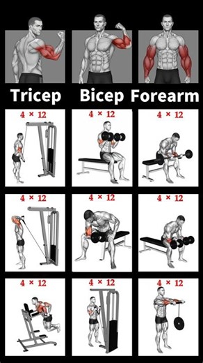 Grow Your Arms Fast | Arm Workout Routine #triceps #biceps #forearms