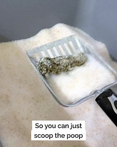 74K views · 454 reactions | The most innovative solution to your litter box problems. | PrettyLitter | Facebook