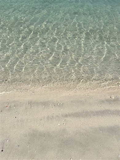 Tanishka Racharla🦕 | beach fs ☀️🌊🌴🌺 | Instagram