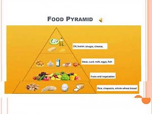 Class 4, Science, Lesson 1, (Part 1) By Anubhuti