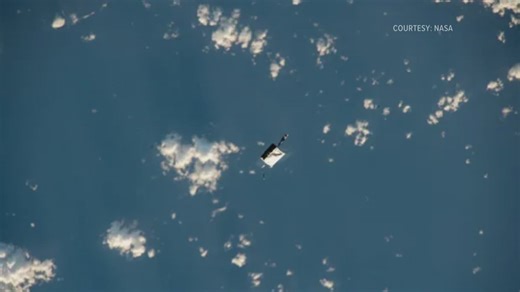 From gorilla suits to dinosaur bones, these are the strangest things Earth has sent to space