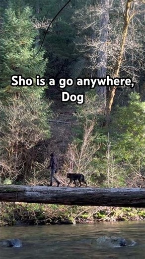 Slippery log over the river, sure. should I go first or do you want to?