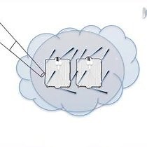 Video: Dissection and Imaging of Active Zones in the Drosophila Neuromuscular Junction