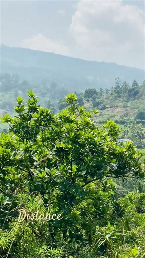 Volume up sounds #travel #distance #nature #natural #lifeisbutadream