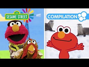 Elmo & Friends Learn About Animals! 2 HOUR Sesame Street Animal Compilation for Kids! - Videos For Kids