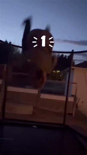 Day 4 #backflip #ski #trampoline #skiing #fyp