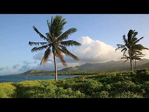 Comores Grande Comore Choua Chandroude Ile de la tortue / The Comoros Ngazidja Turtles island