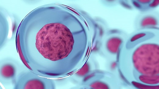 Qu'est-ce qu'une maladie auto-immune : pourquoi notre organisme peut se retourner contre nous ?