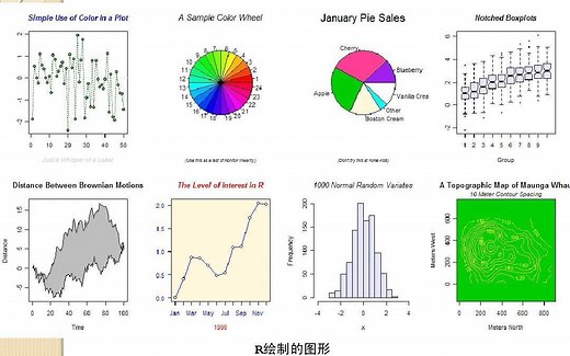 R 语言作图—从入门到高级