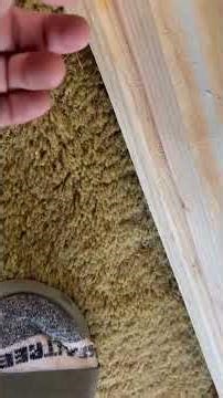 I also own, operate, and build every hive for my bee farm, Angel’s Frames and Bee Rescue.