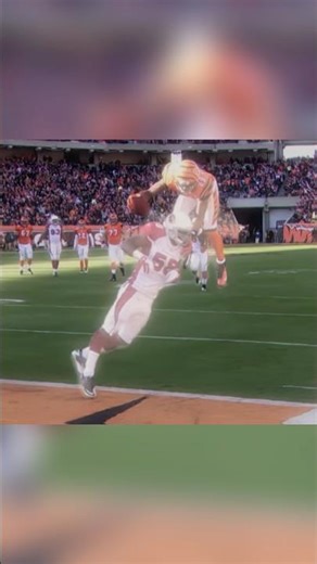 Front flip Touchdown