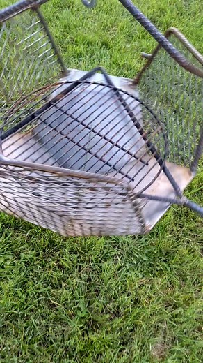 Solidfirepits on TikTok