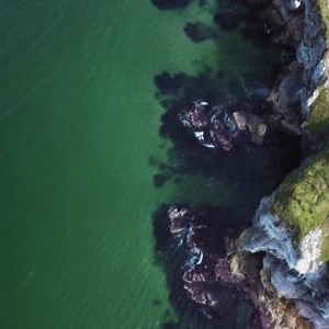 5.6K views · 367 reactions | Because these things can only be found on the island of Ireland, it means you'll just have to visit to experience them!  | Tourism Ireland | Facebook