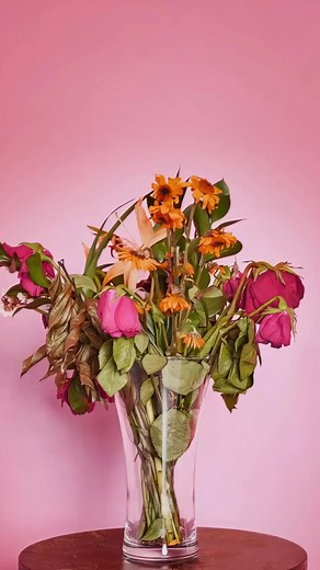 Water My Flowers: New Music from Barbara Album