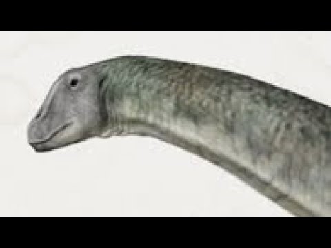 Brontosaurus Sound Effect