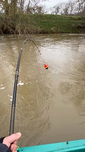 Extreme catfish battle💪🤯! Max is taking on a true river monster in a flooded river💯. These are the unforgettable fights that make you wonder, ‘just how big is the fish at the end of the line?’ And in this case - it’s an absolute giant of a catfish🤩. | Black Cat Fishing UK
