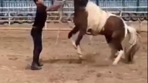 866K views · 14K reactions | Fails Compilation Funny | Carter Navarro | Facebook