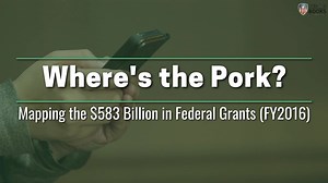 95K views · 96 reactions | WATCH: Where's the Pork? Politicians say there's nowhere left to cut. Are they right? | Open The Books | Facebook