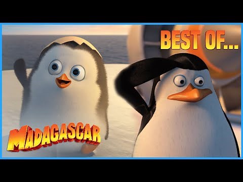 Best of Private Penguin | Penguins of Madagascar | Mini Moments