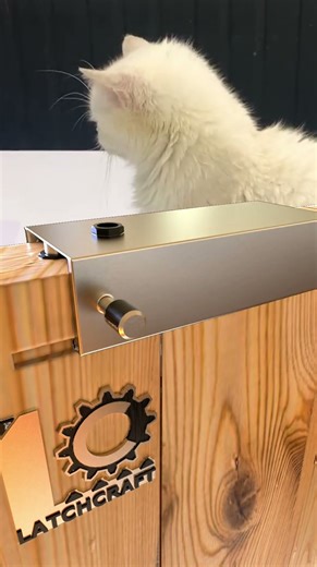 動きが語る、本物の精密機構