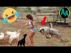 🤭 Epic Fails & Funny Videos You Can’t Miss!