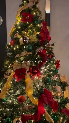 Christmas is coming …