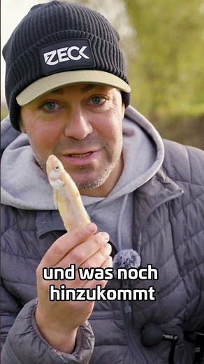 Hecht-Magnet: Stint im Kleingewässer 😎 #hechtangeln #deadbait #zeckfishing