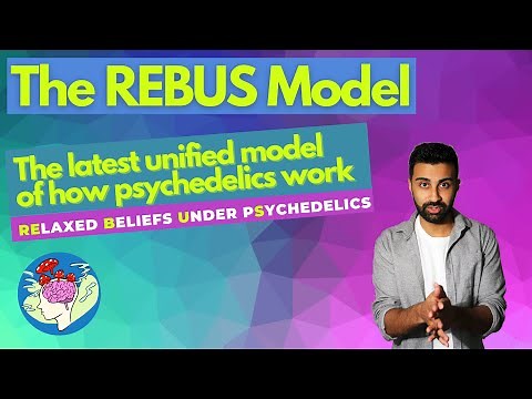 The REBUS Model Explained: How Psychedelics Relax Beliefs and Rewire the Brain