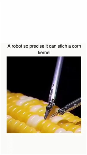 FUNNY MEMES on Instagram: "Precision reaches a whole new level when a machine can handle something as tiny and delicate as a corn kernel. Every movement is calculated, steady, and exact, showing just how far technology has come. It feels almost unreal to watch. What makes it so impressive is the control involved. Stitching something that small leaves zero room for error, yet the robot moves with calm confidence. This is not just speed or power, but pure accuracy at its finest. Moments like this