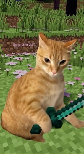Kitty skins #kitty #cat #minecraft