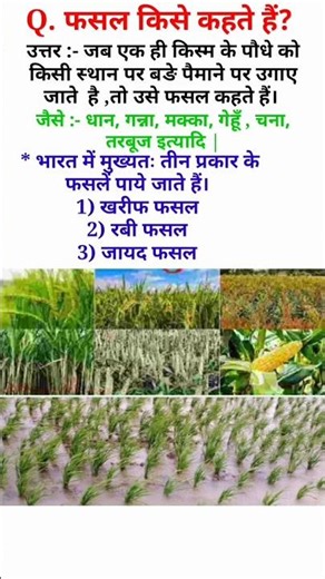 fasal kise kahate hain | fasal kitne prakar ke hote hain | फसल किसे कहते हैं और कितने प्रकार |#short