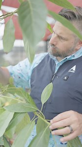 This Alpha Cool vest is what ou need to beat the heat this summer! Experience the future of cooling with Alpha Cool at My Cooling Store! | My Cooling Store